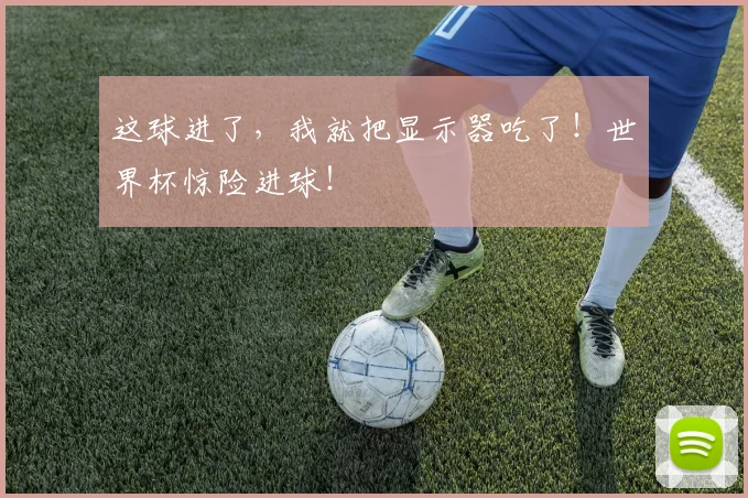 这球进了，我就把显示器吃了！世界杯惊险进球！